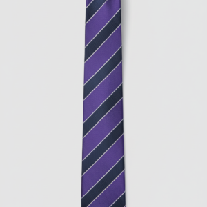 Cravatta di Seta a Righe - Design Elegante Viola e Blu Navy